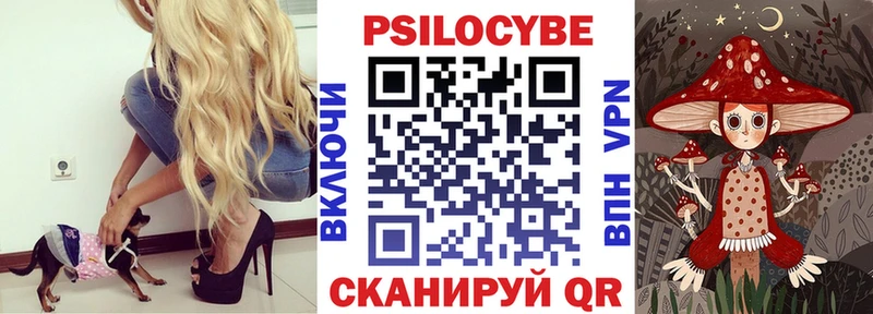 Галлюциногенные грибы Psilocybe  Купить закладки  Щёлкино 